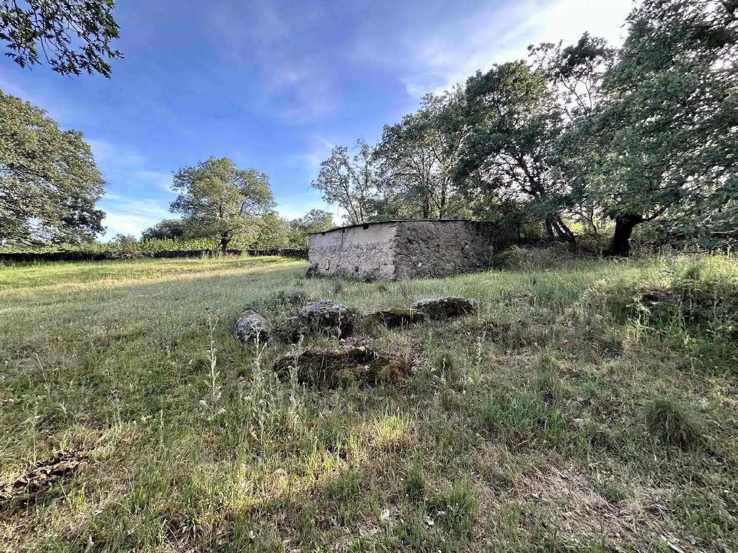 Terreni e lotti in vendita a Malpartida de Plasencia, imagen 2