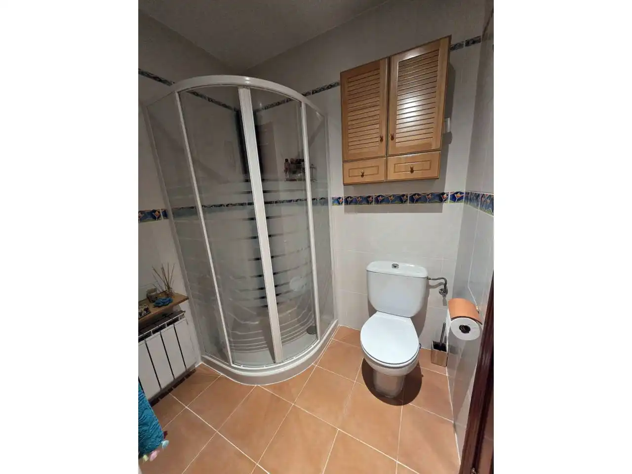 Baño de Casa o chalet en venta en Cabanillas del Campo