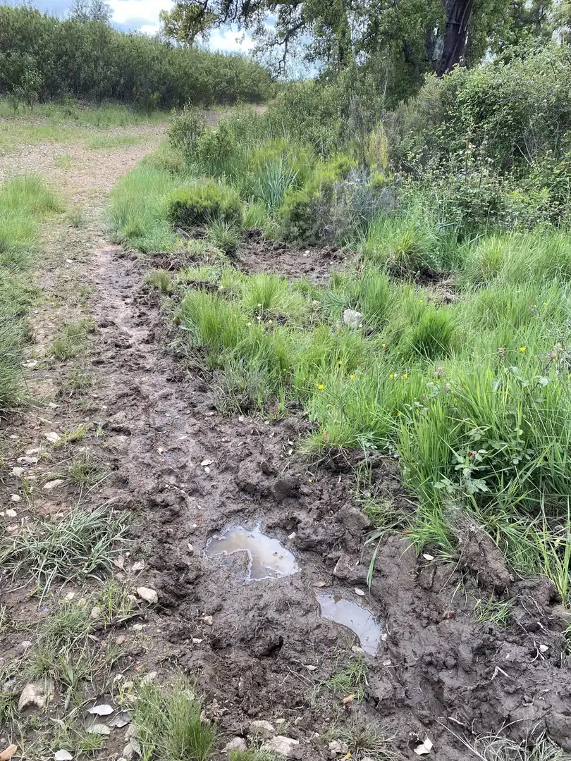 Terreno en venta en Deleitosa