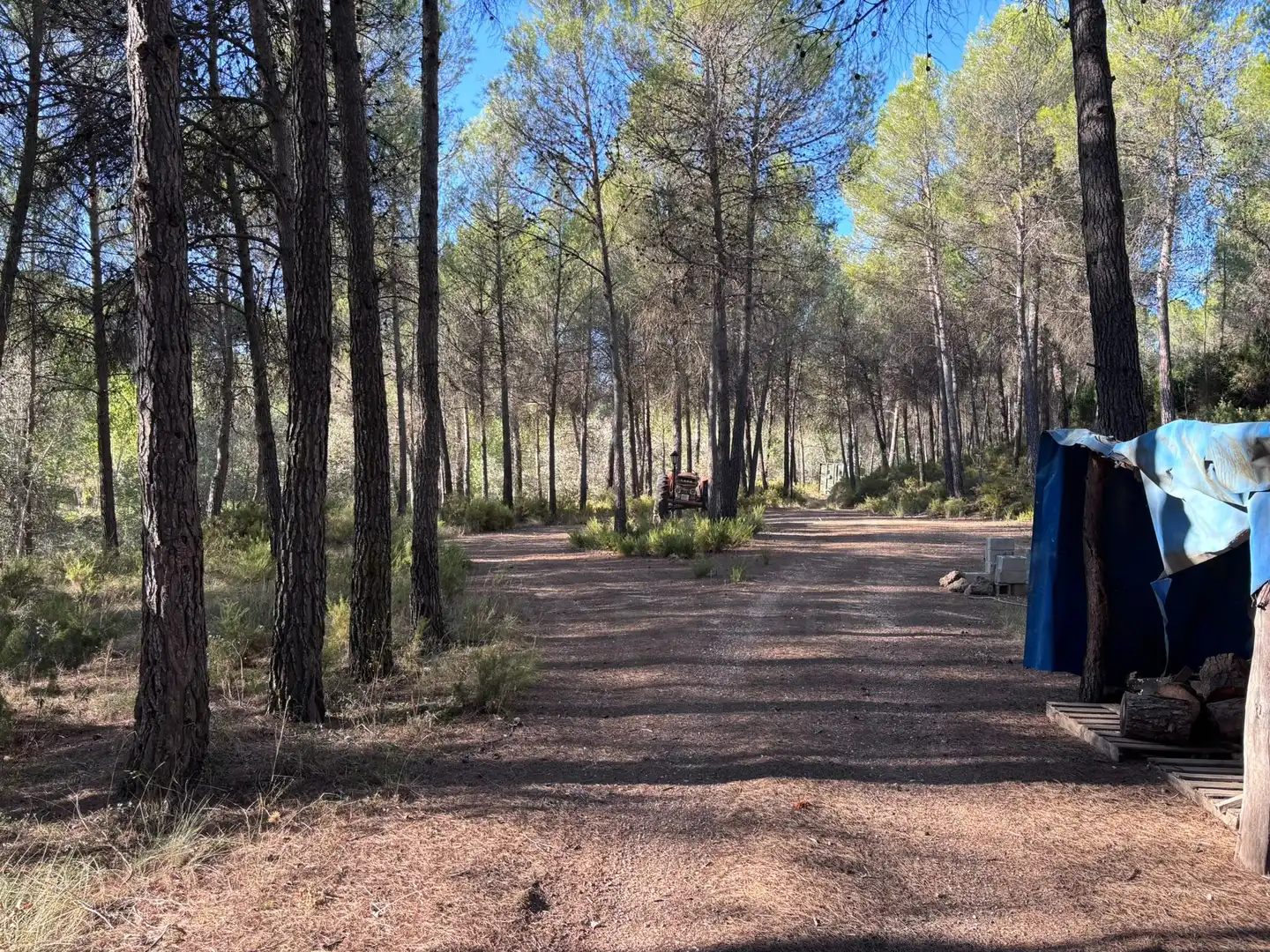 Terrenys i solars en venda a Batoi, imagen 13