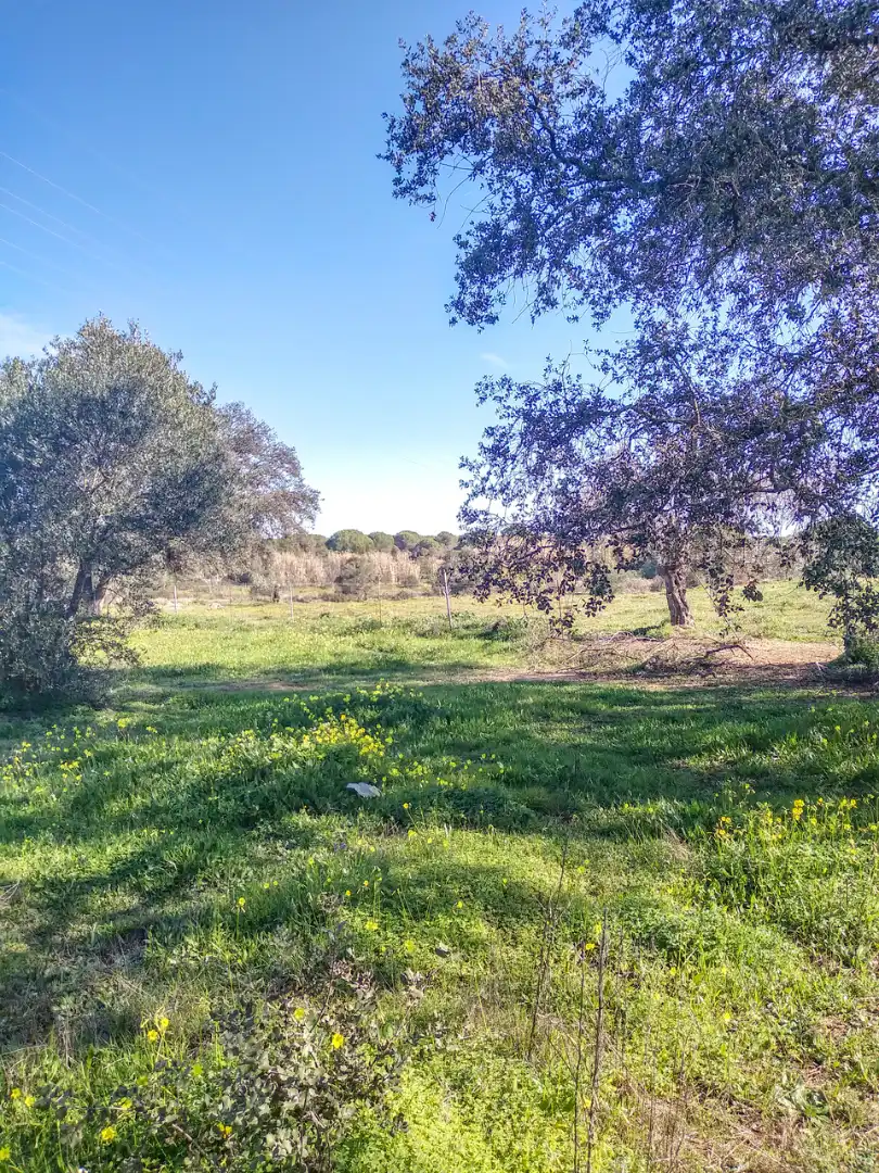 Finca rústica en venda en Villablanca