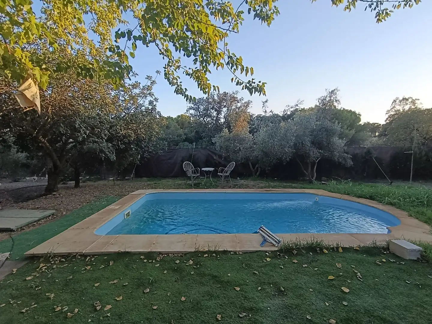 Casa amb piscina en venda a Castilblanco de los Arroyos, imagen 34