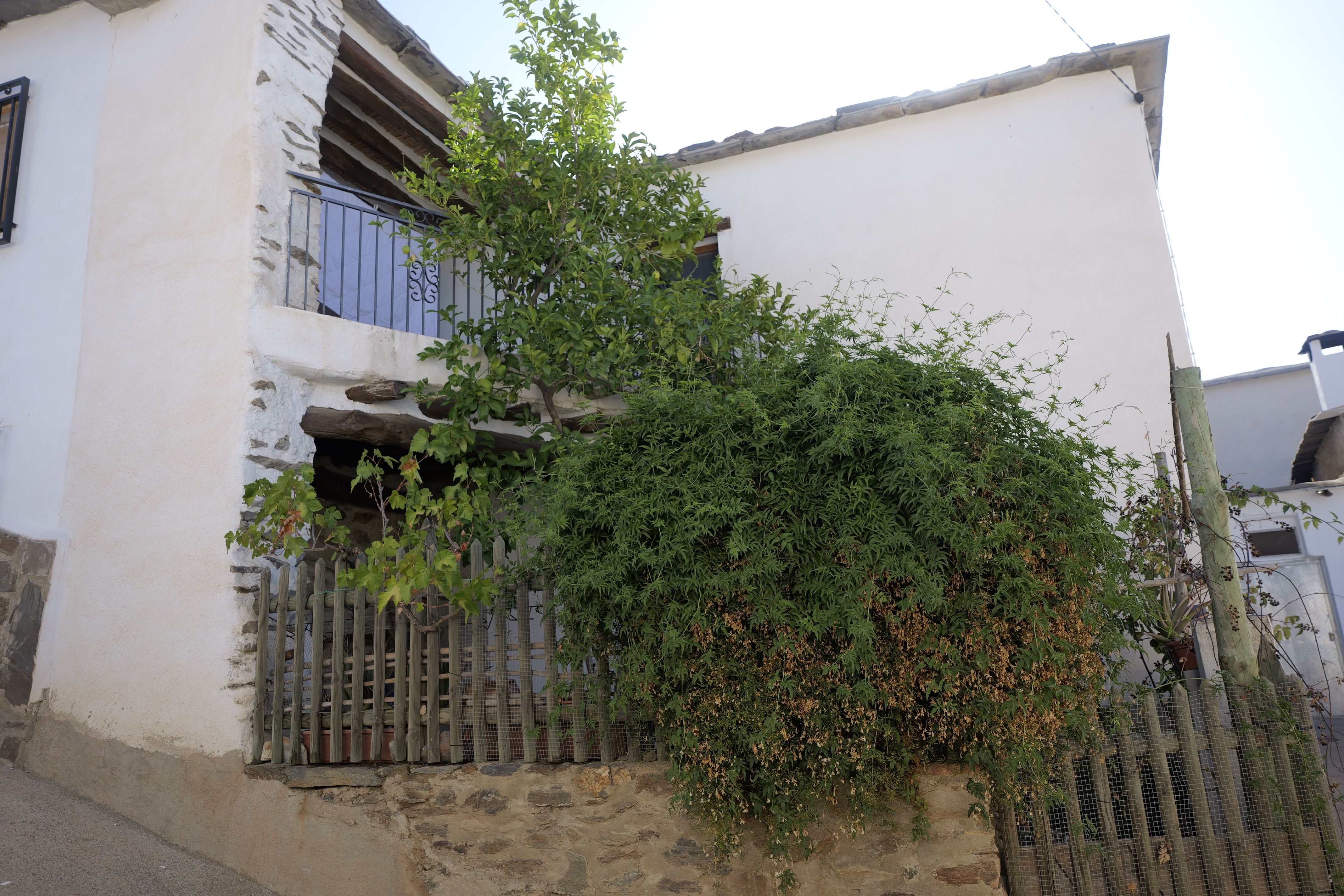 Exterior view of Single-family semi-detached for sale in Nevada  with Private garden, Terrace and Furnished