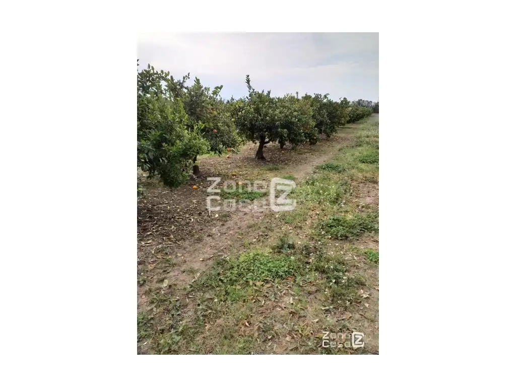 Country house for sale in Algemesí