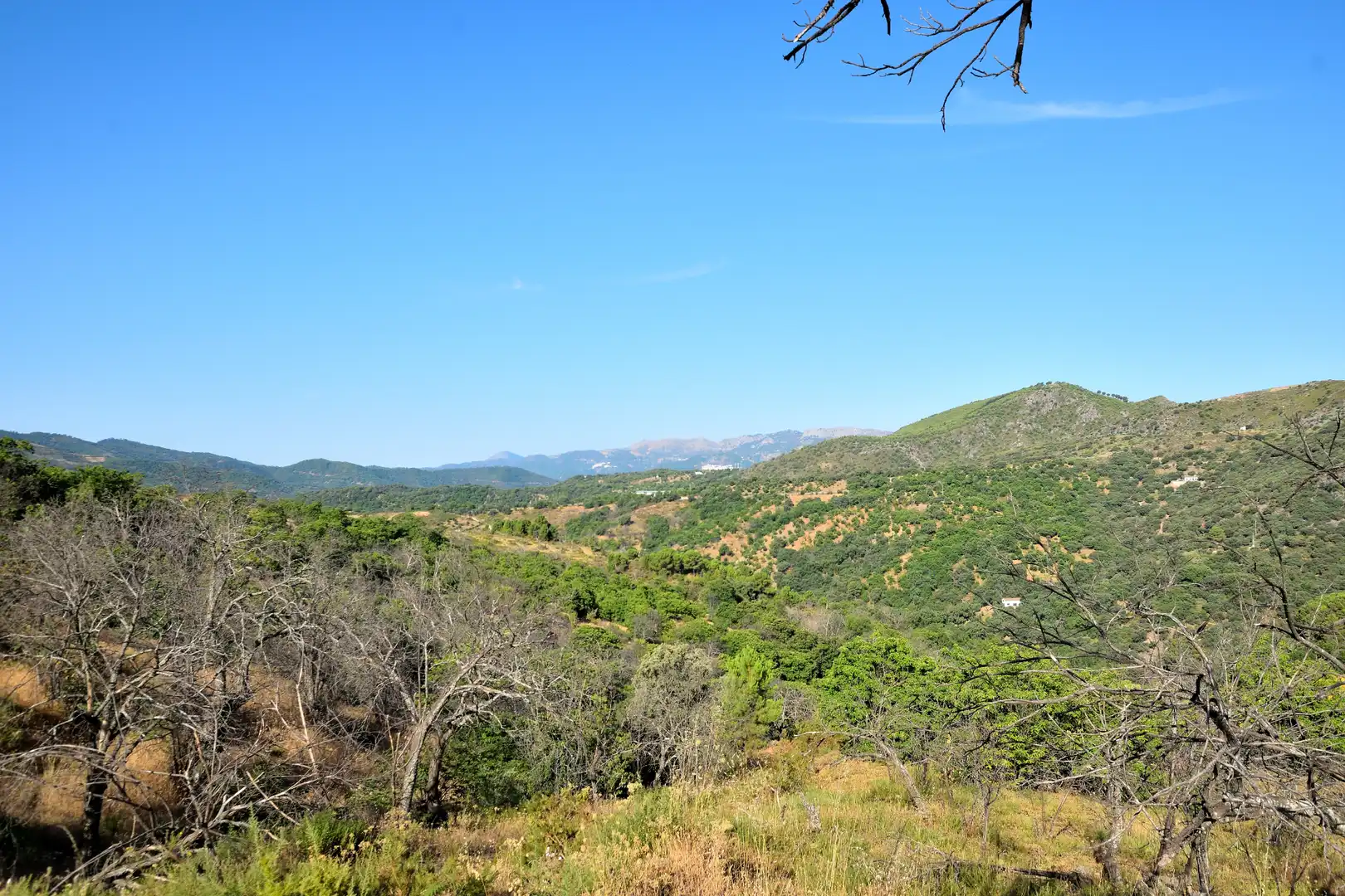 Terreno en venta en Calle Padre Francisco Rodríguez Gallego, 29, Cartajima