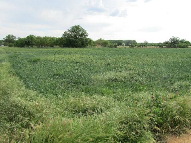 Terreno residencial en Venta en Calle El Tamaral en Manganeses de la Polvorosa
