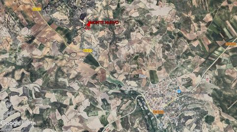 OLIVAR CERCA DEL PUEBLO, PARA CONSUMO PROPIO, RECREO, immagine 2