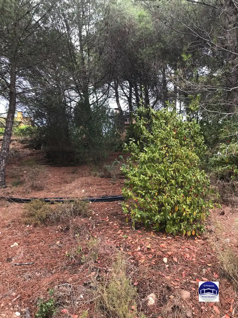 Residencial en venda en Terrassa