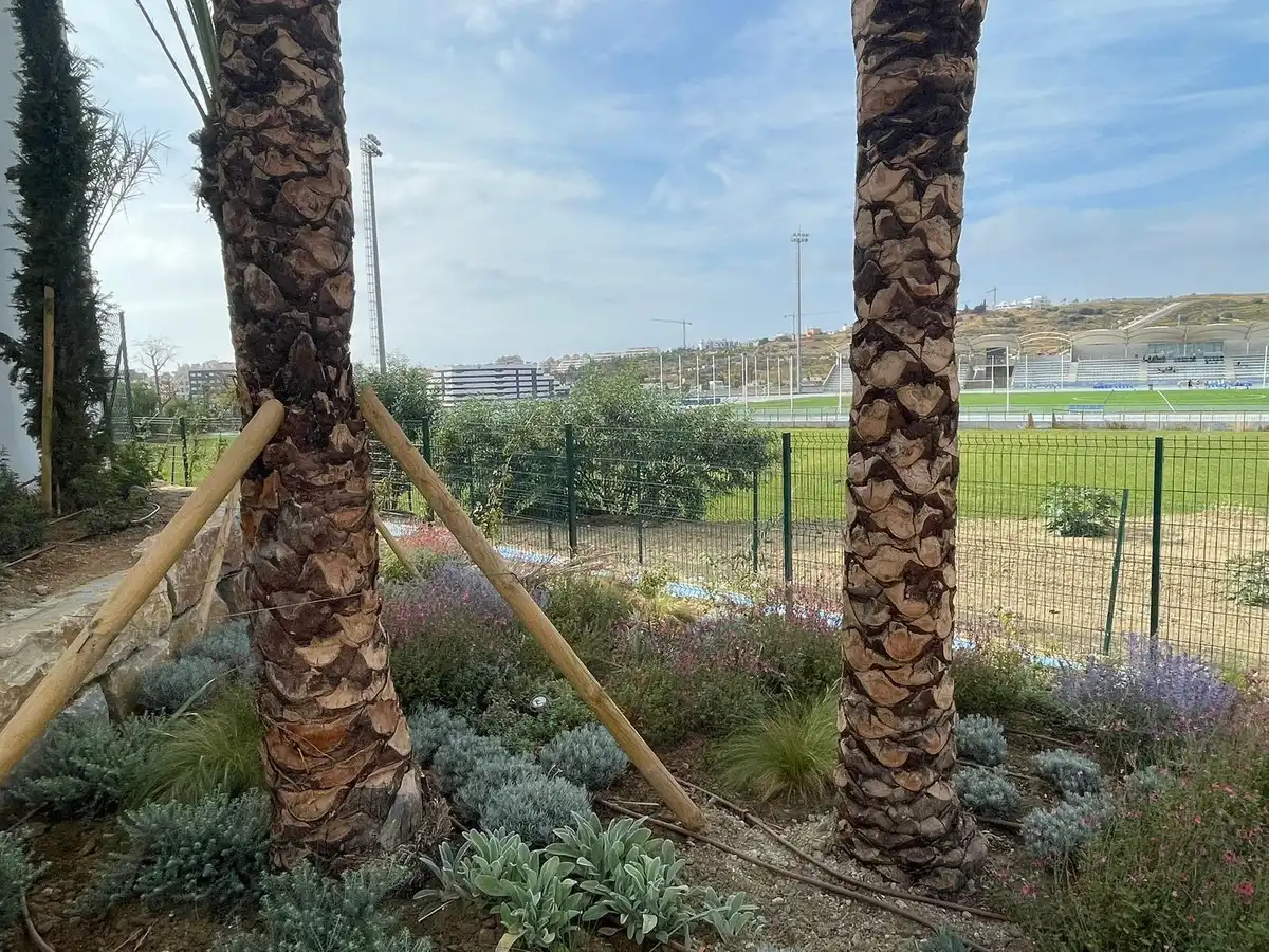 Piso con piscina en venta en Estepona - Estepona,Centro,Avenida Juan Carlos I, imagen 26