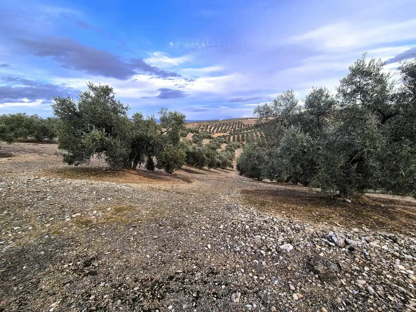 Rural land for sale in Huétor Tájar, imagen 30