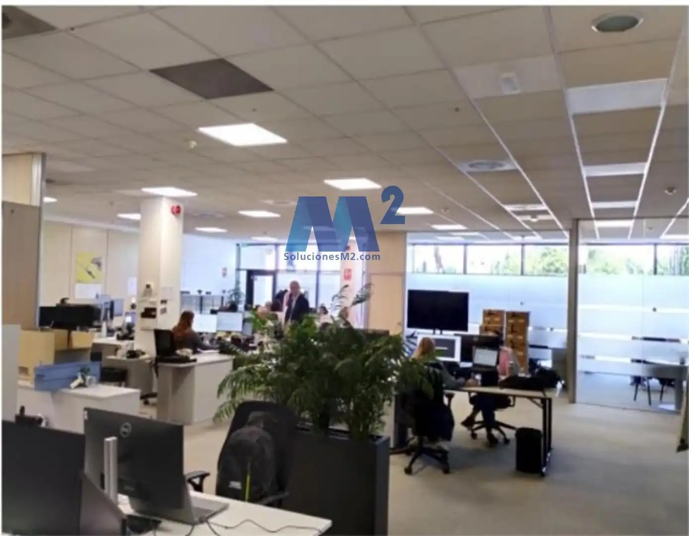 Ufficio in affitto a de Castilla
