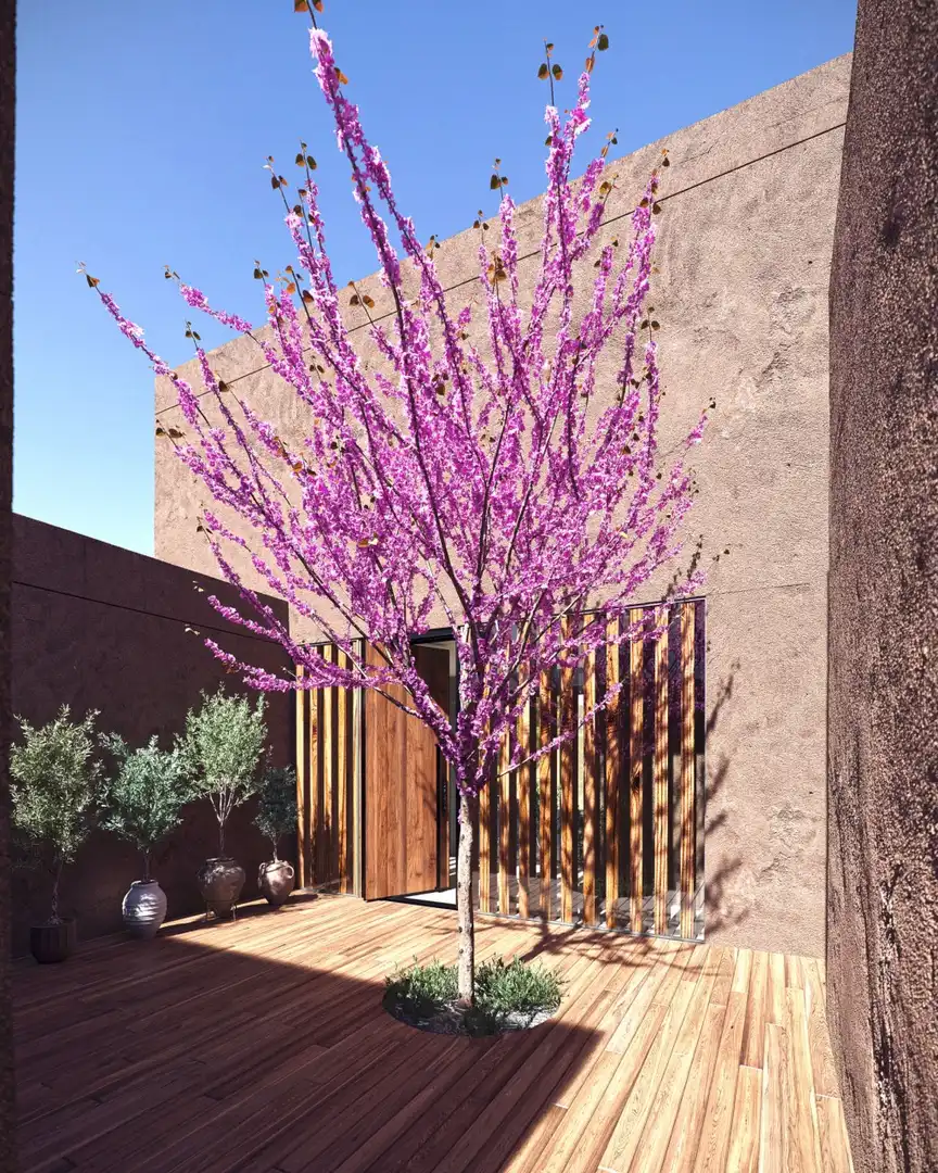 Villa avec terrasse à vendre à Sa Torre, imagen 5
