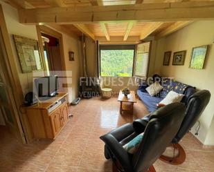 Living room of Duplex for sale in Sarroca de Bellera