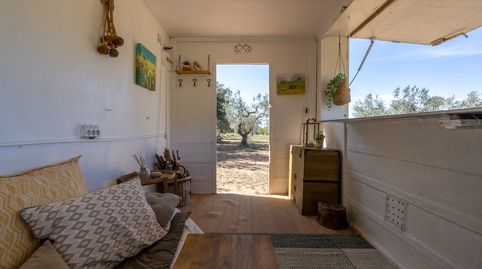 Finca rústica con olivos y frutales. Agua de riego de pozo propio. Construcción metálica., imagen 5