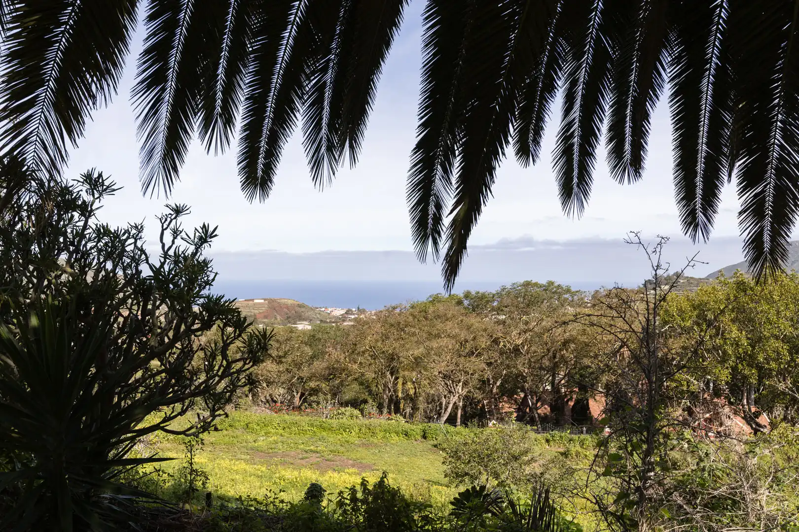 Jardín de Finca rústica en venta en Tegueste con Jardín privado, Terraza y Horno