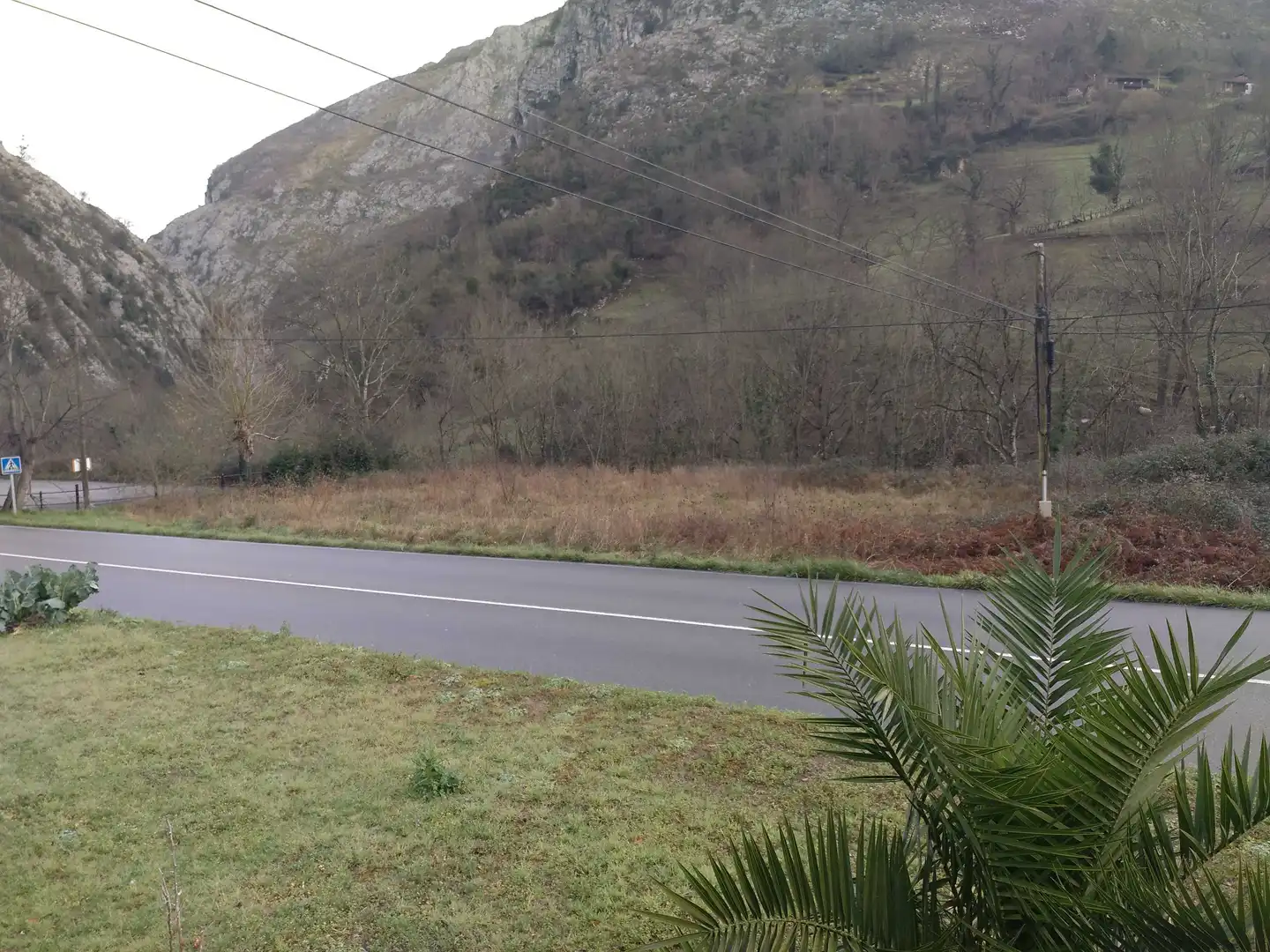Rural land for sale in Cr General - Finca Las Mazas, imagen 7