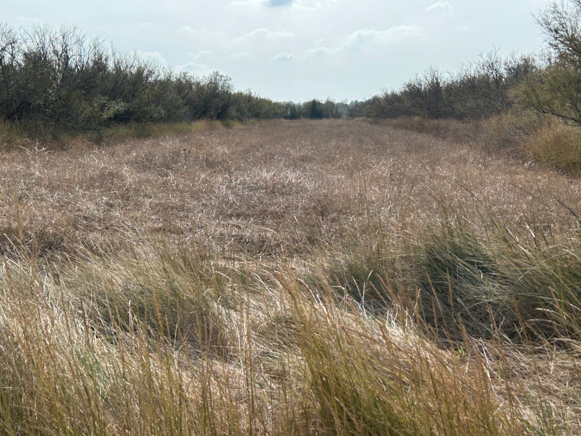 Terreno en venta en Castelló d'Empúries