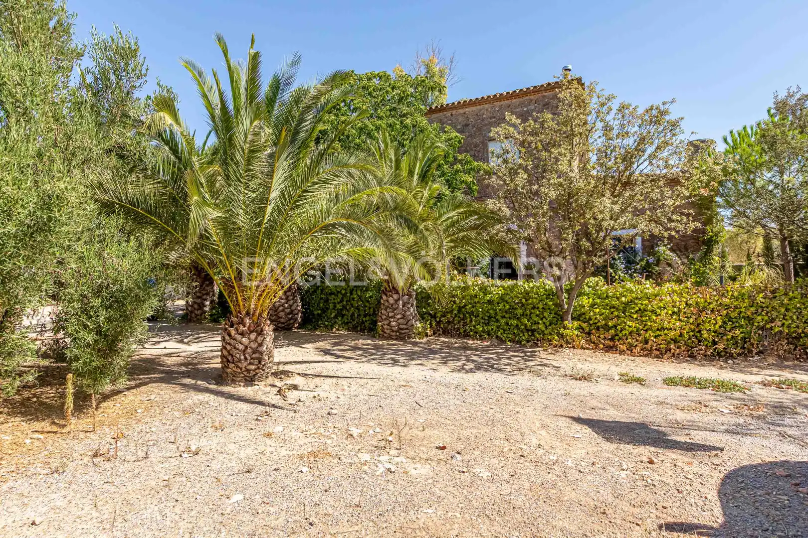 Vista exterior de Casa o chalet en venta en Bienvenida con Calefacción y Jardín privado