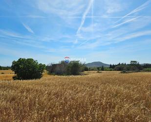 Land for sale in N/A, Sineu