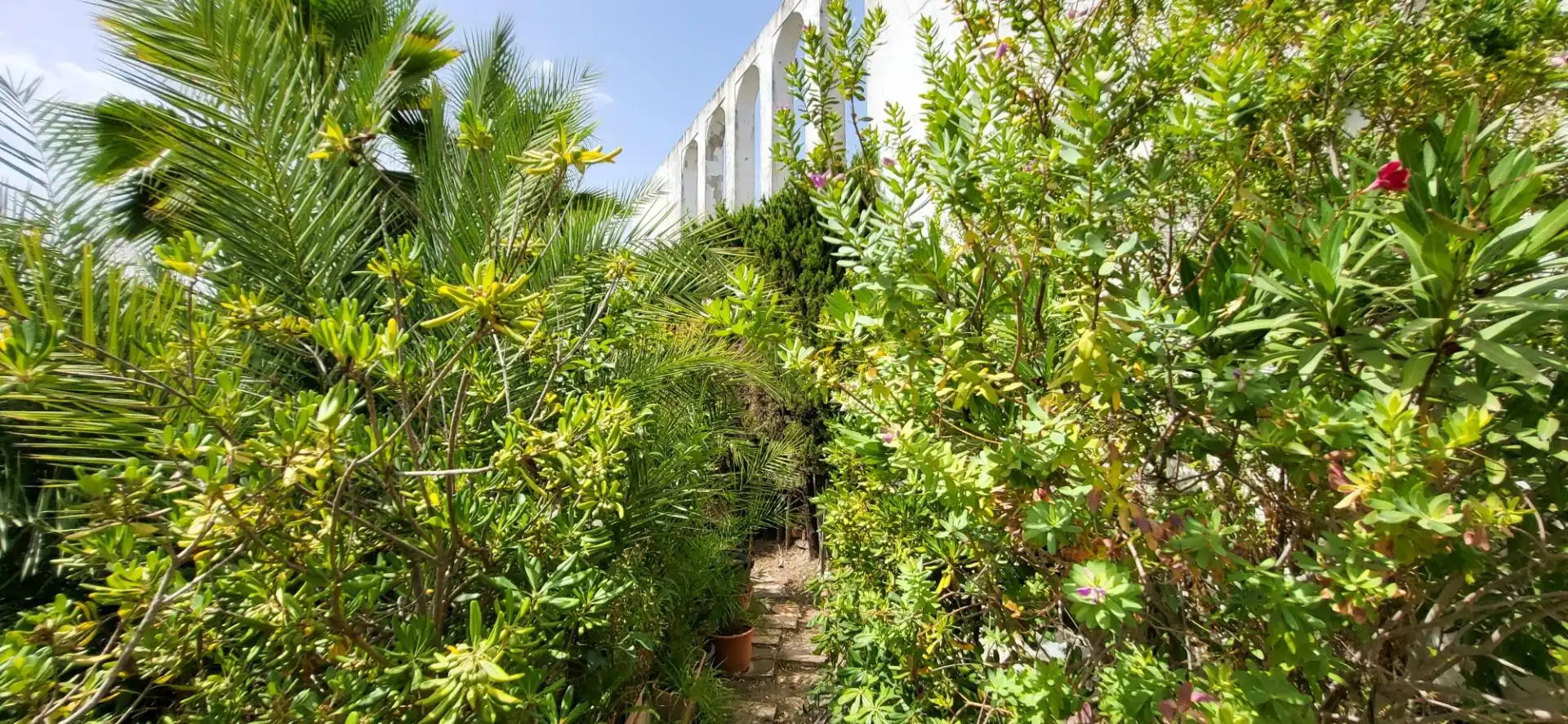 Detached house with terrace for sale in Nueva Andalucía, imagen 70