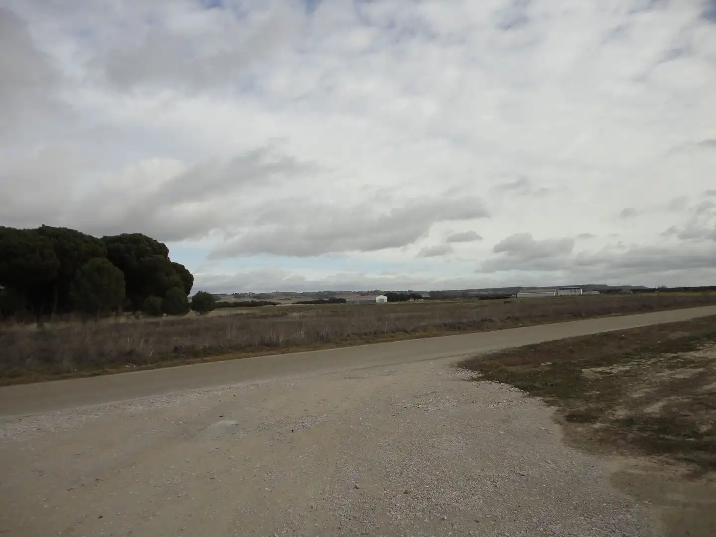 Land for sale in Alcazarén