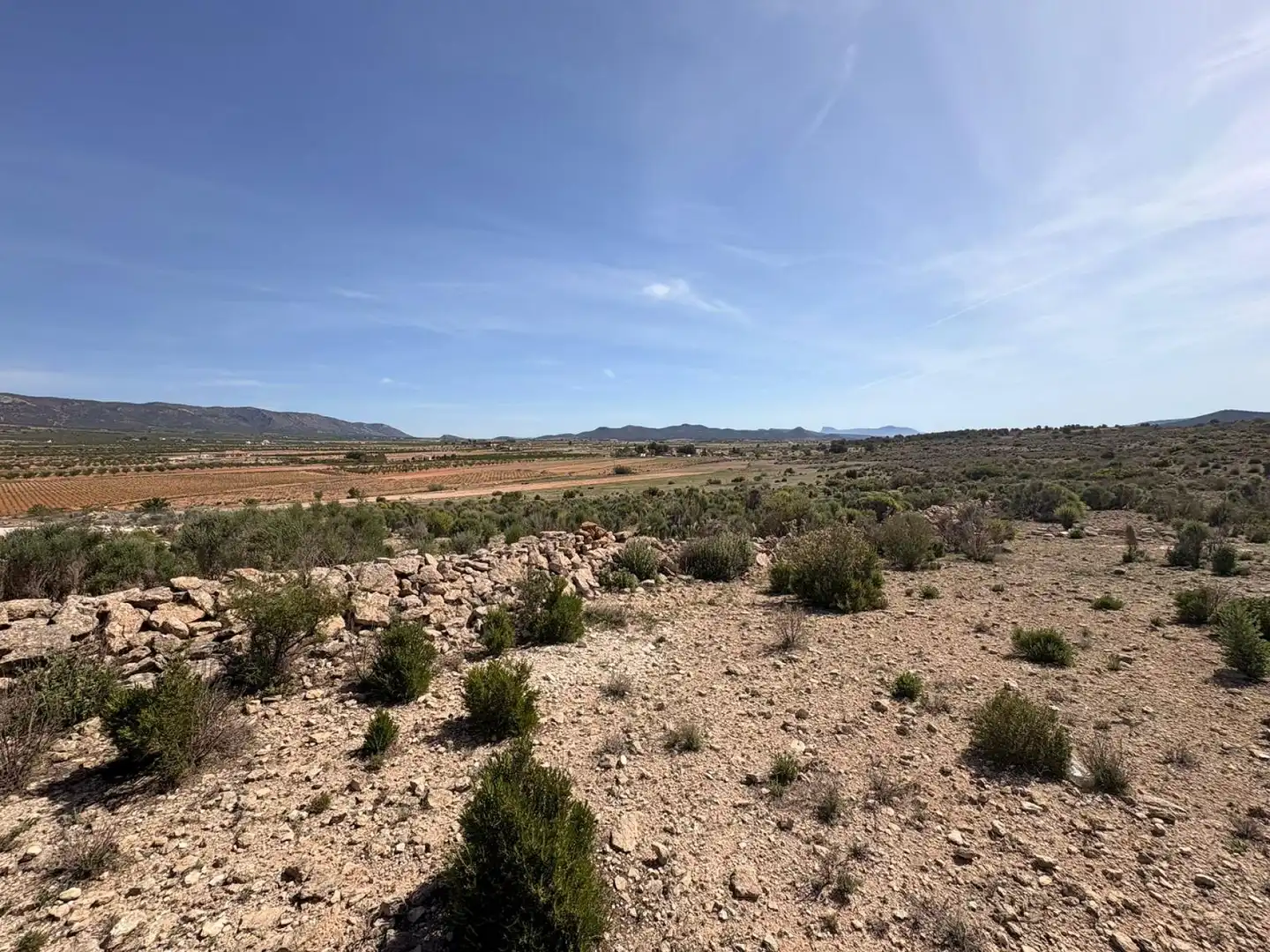 Terreno residencial en venta en El Pinós / Pinoso, imagen 3