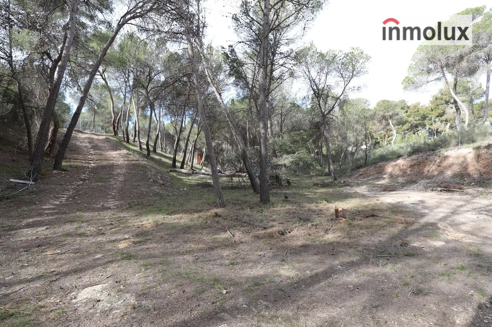 Terreno en venta en Tibi