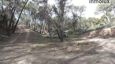 Foto 4 de Terreno en venta en Urbanización Finca Terol, Tibi, Alicante