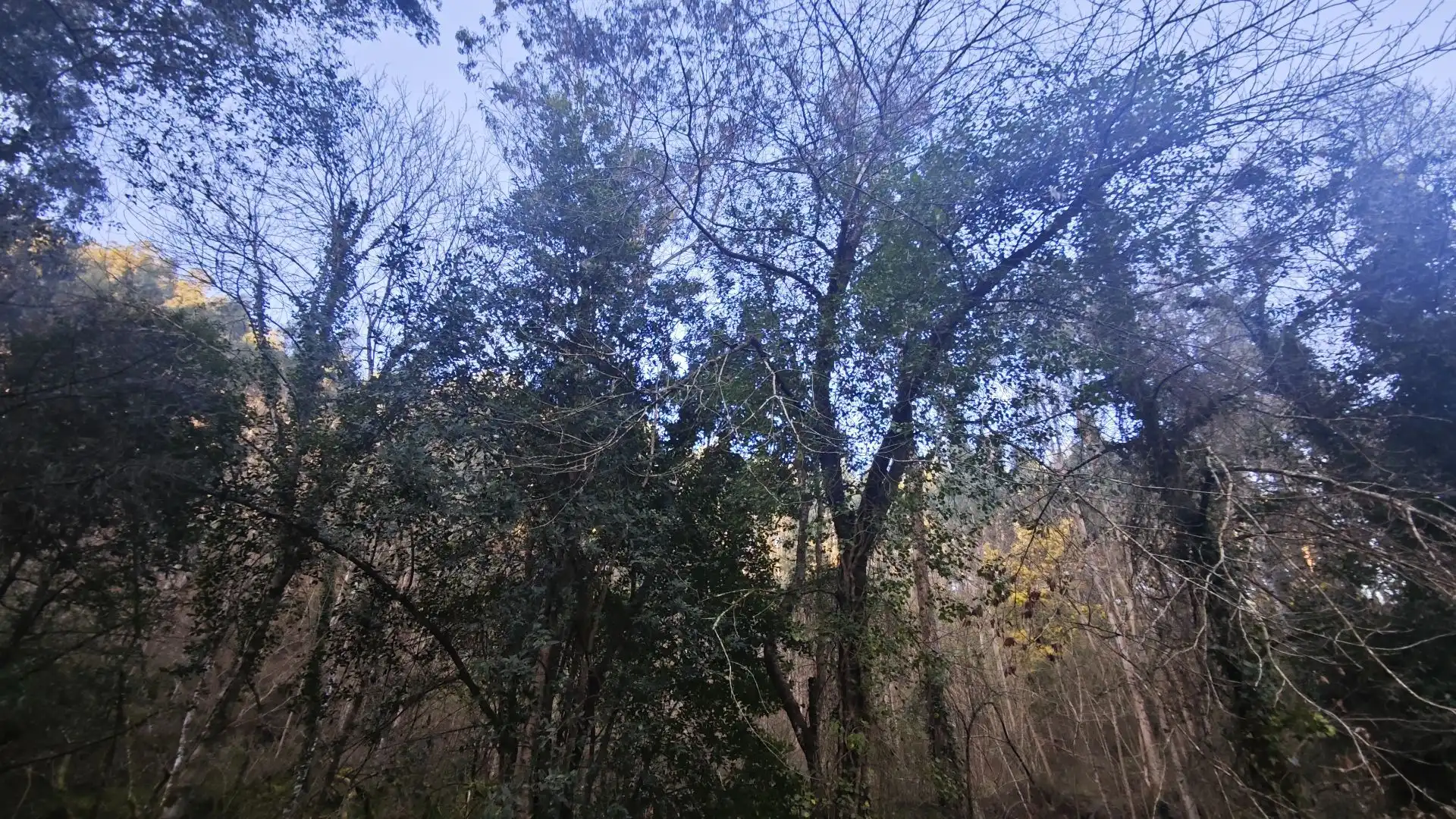 Terreno rustico in vendita a Pría - Nueva-Hontoria - Naves, imagen 21