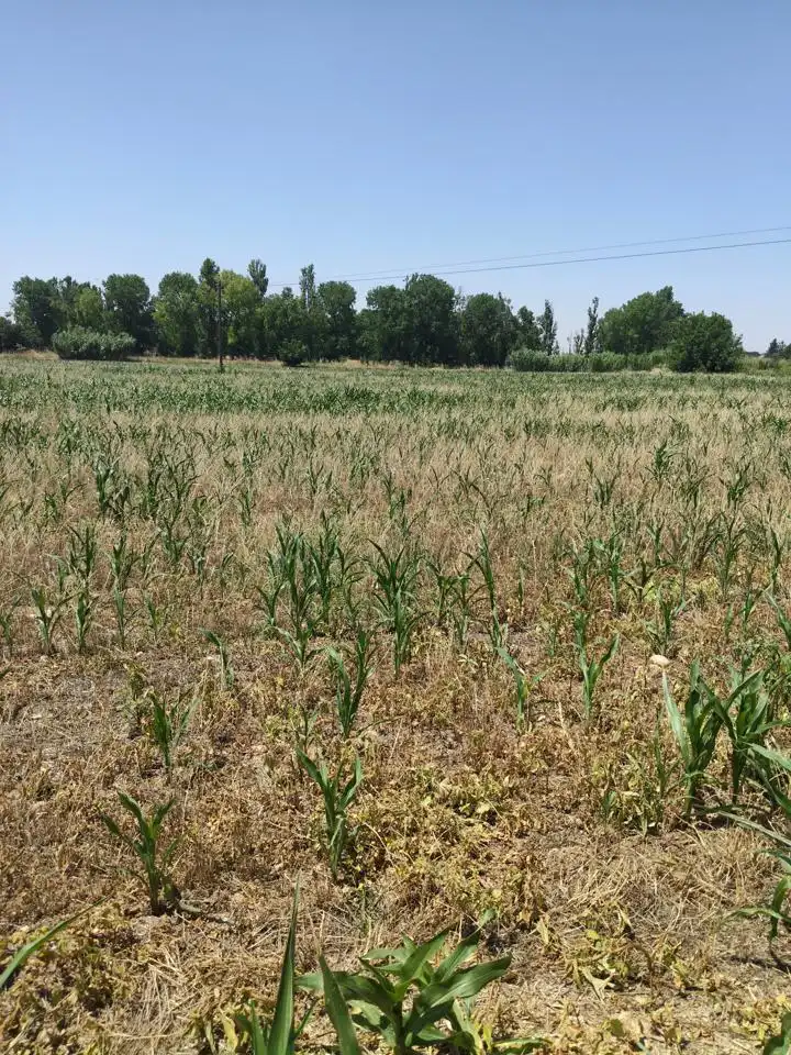 Terreni e lotti in vendita a Camino de Zamoray, imagen 15