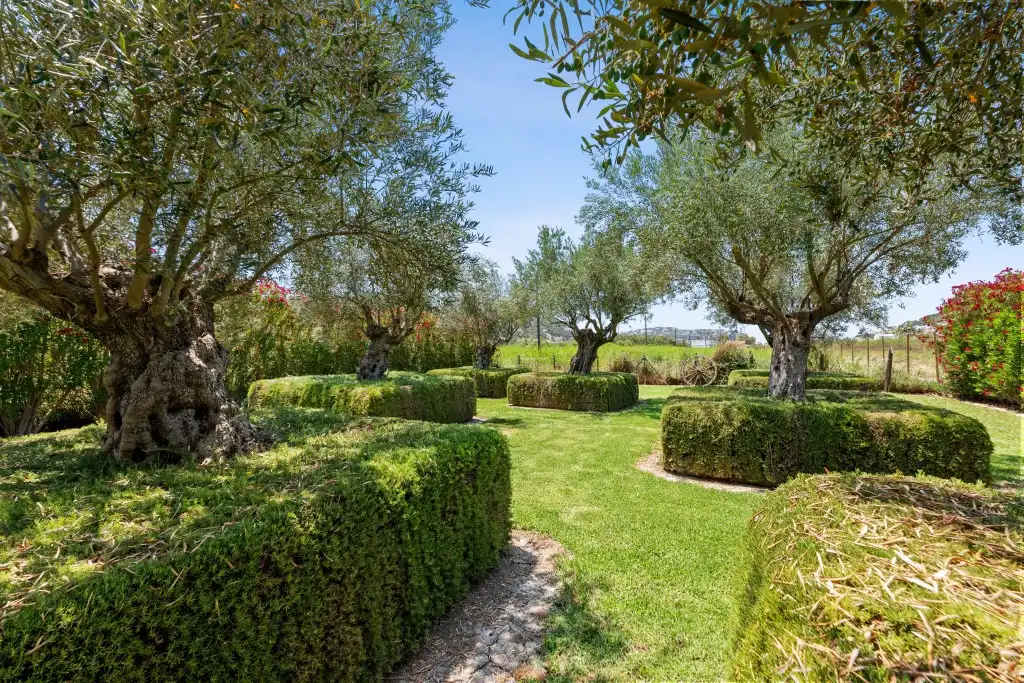 Casa rústica con piscina en venta en Port d'Andratx, imagen 11