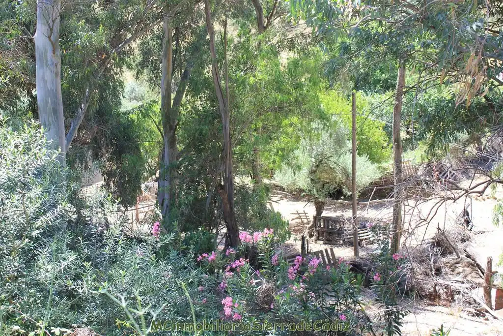 Garden of Country homes for sale in El Gastor  with Private garden, Terrace and Storage room