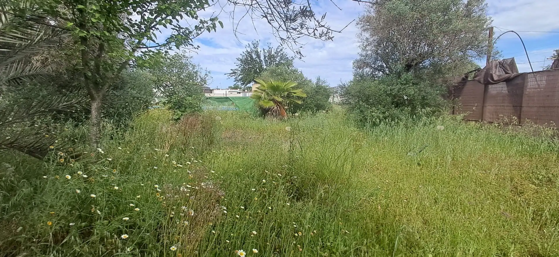 Casa o chalet en venta en Utrera