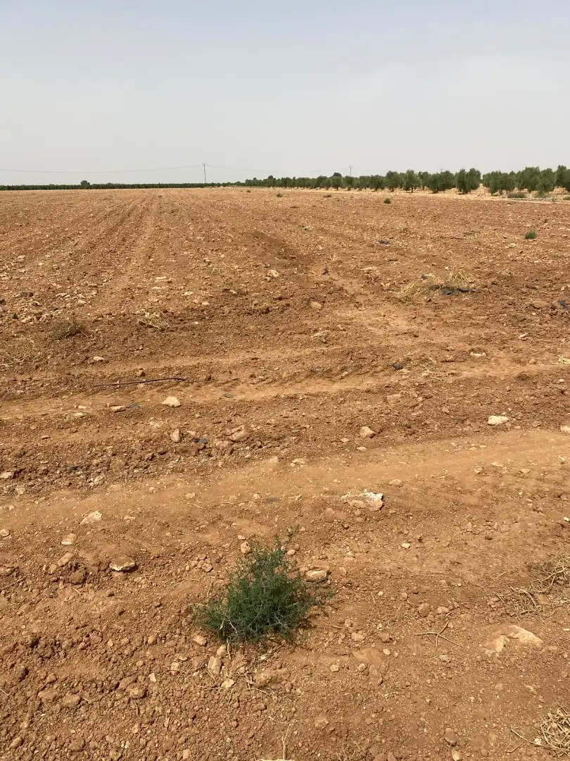 Rural land for sale in Calle Juan de Zúñiga, imagen 19