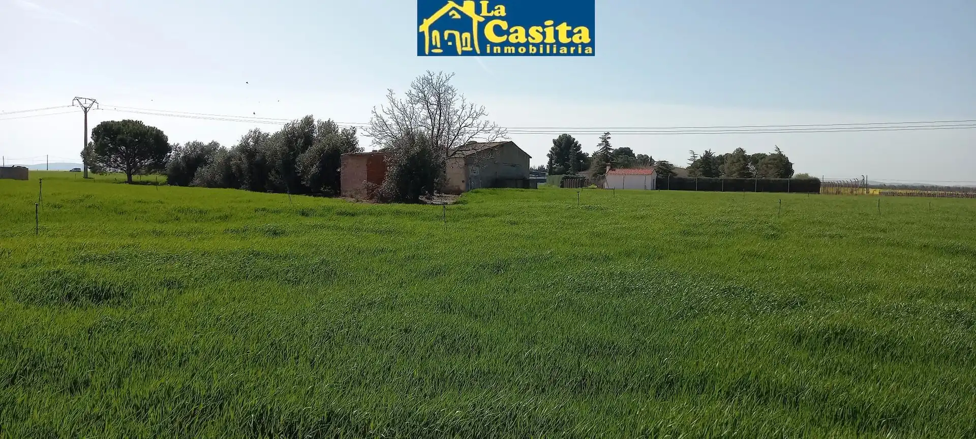Nau industrial en venda a Almagro, imagen 31