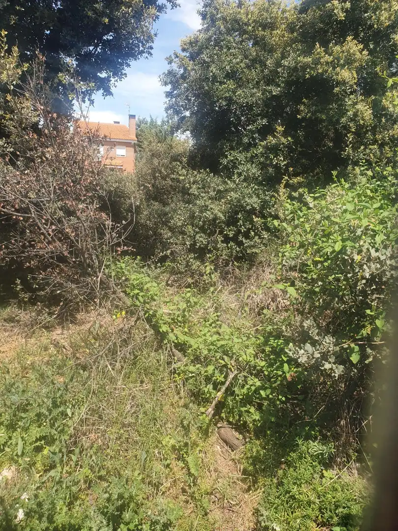 Terreno residencial en venta en Pioz, imagen 4