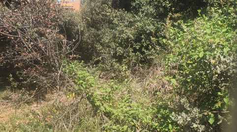 Gran oportunidad de parcela de 826 M2 en Pioz Urbanización La Arboleda, immagine 4