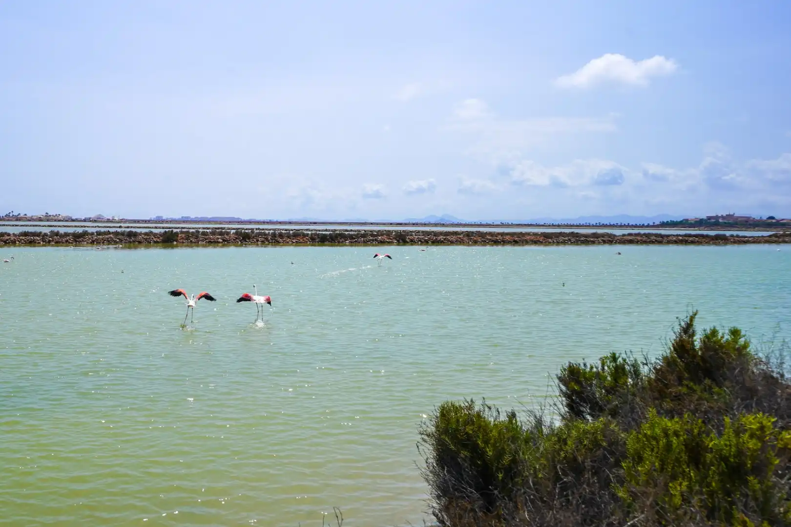 Apartment with pool for sale in Los Peñascos - El Salero - Los Imbernones, imagen 36