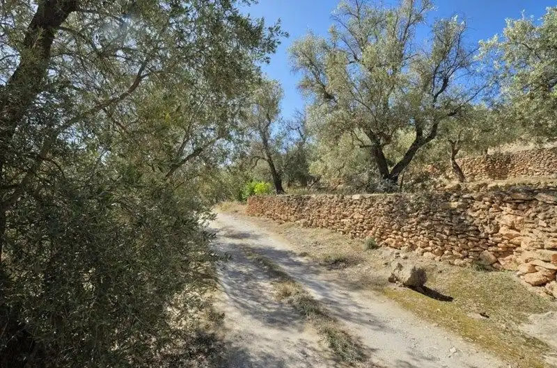 Terreno rustico in vendita a El Pinar, imagen 13