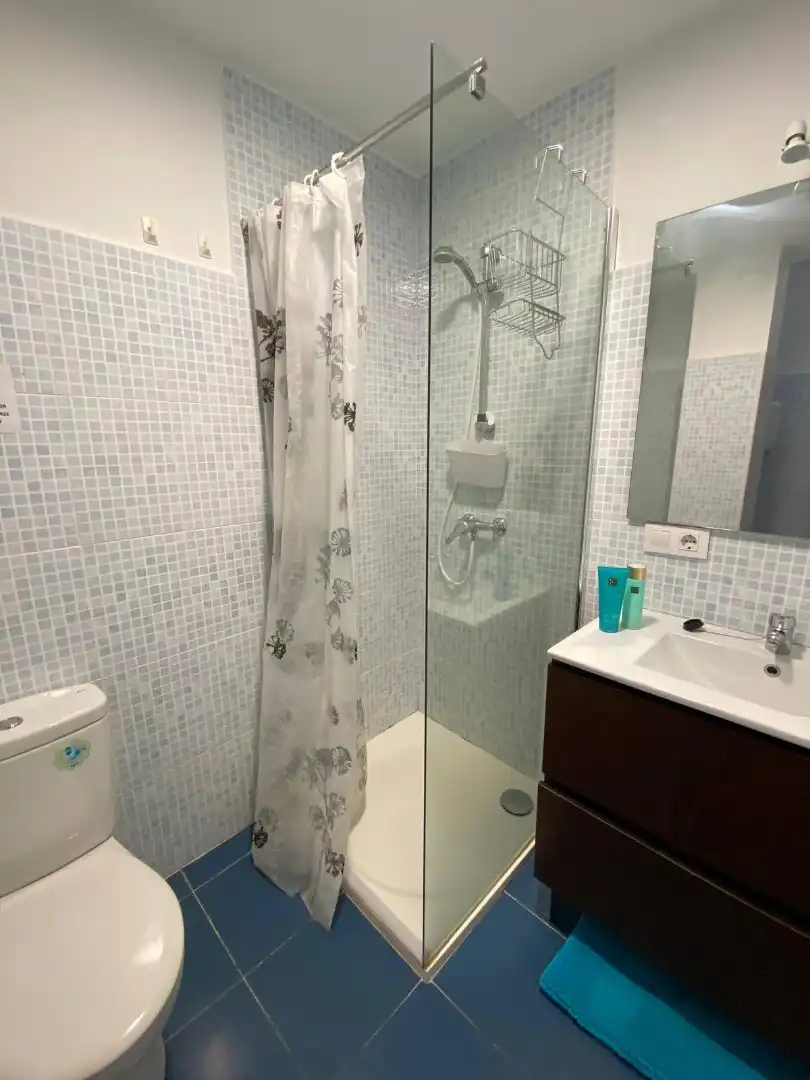 Wohnung zur Miete in Calle Buenos Aires, 18, Alameda - Mentidero - Teatro Falla