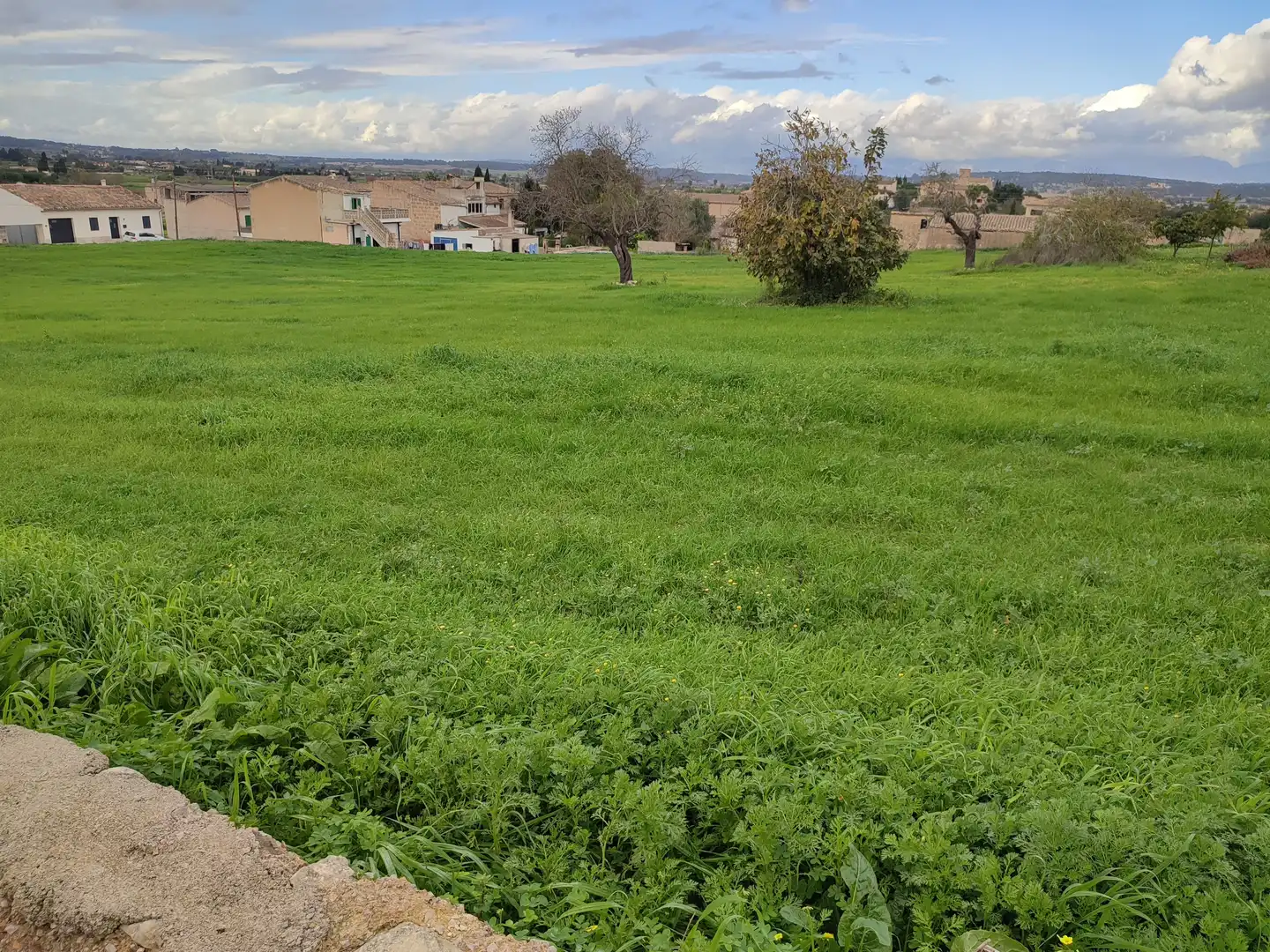 Terreno residenziale in vendita a Montuïri, imagen 4