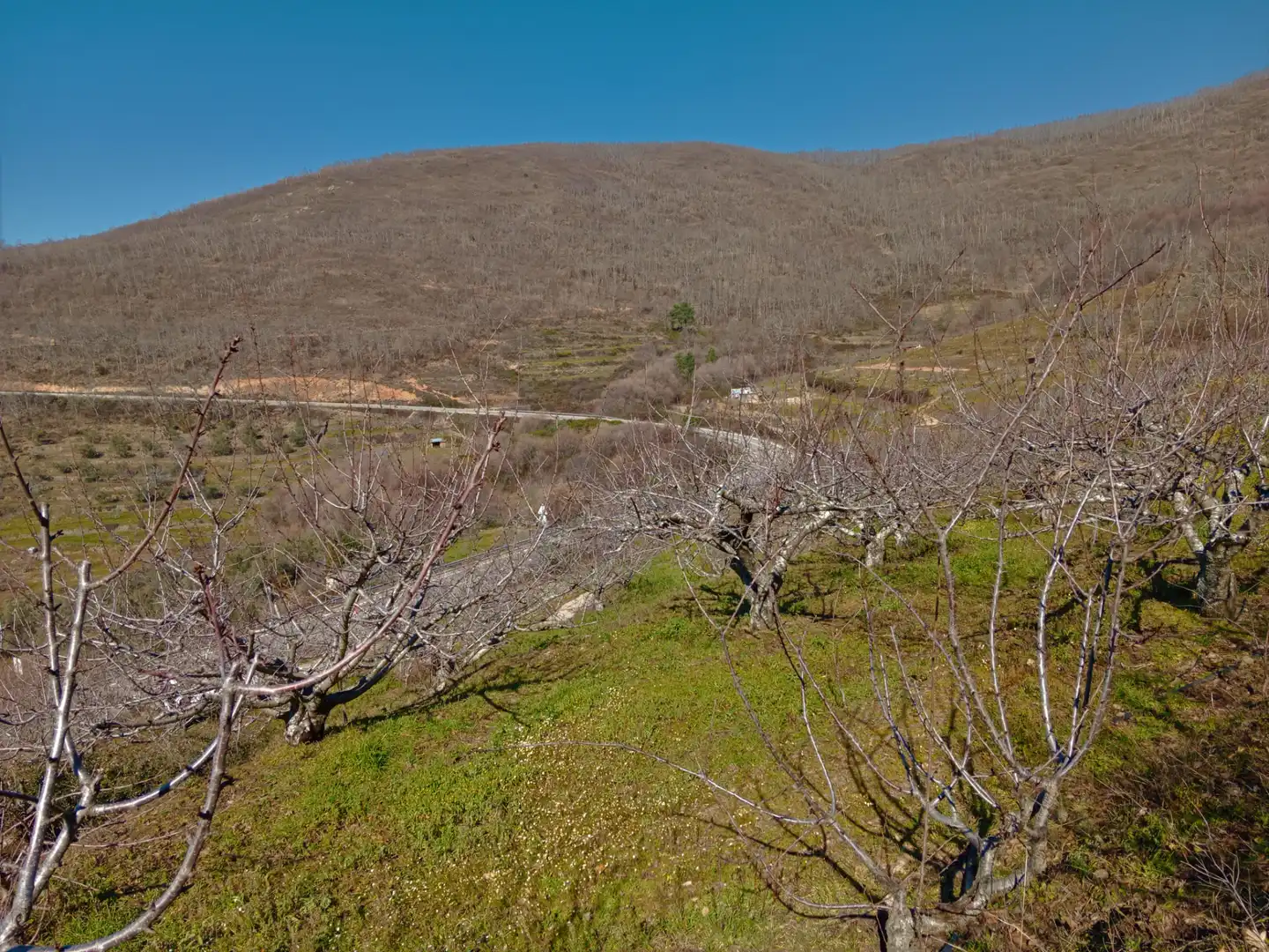 Terreni e lotti in vendita a Barrado, imagen 15