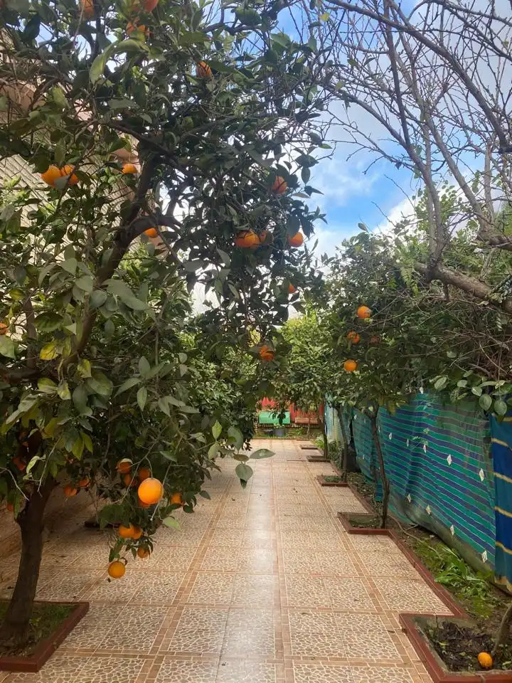 Jardí de Casa o xalet en venda en Dos Hermanas amb Aire condicionat, Jardí privat i Piscina