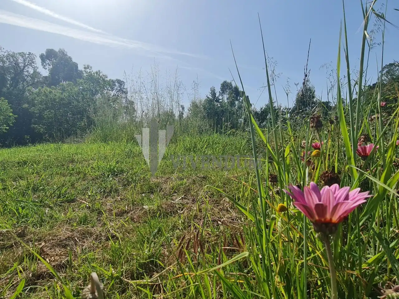 Residential land for sale in Tomiño, imagen 34