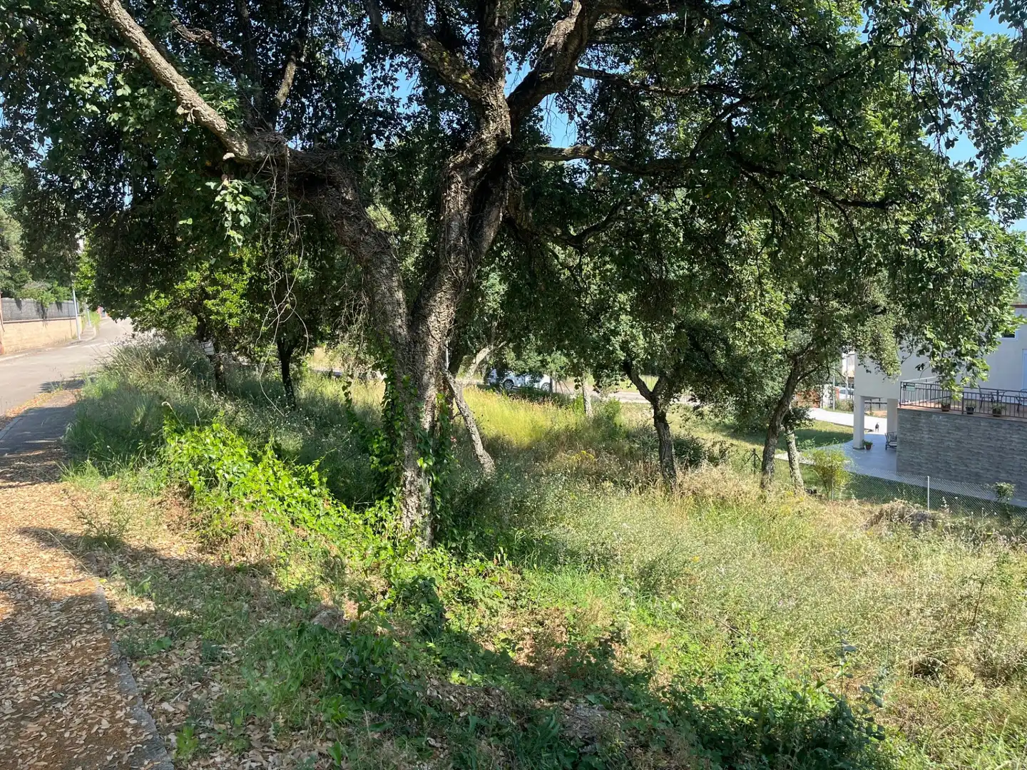 Terrain résidentiel à vendre à Urbanizacion Mas Llunes 1816, imagen 3