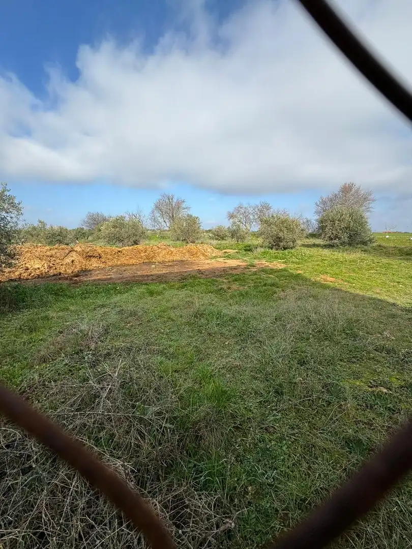 Nave industrial en venta en Santorcaz