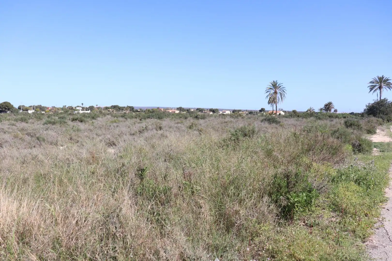 Grundstücke zum Verkauf in Elche / Elx