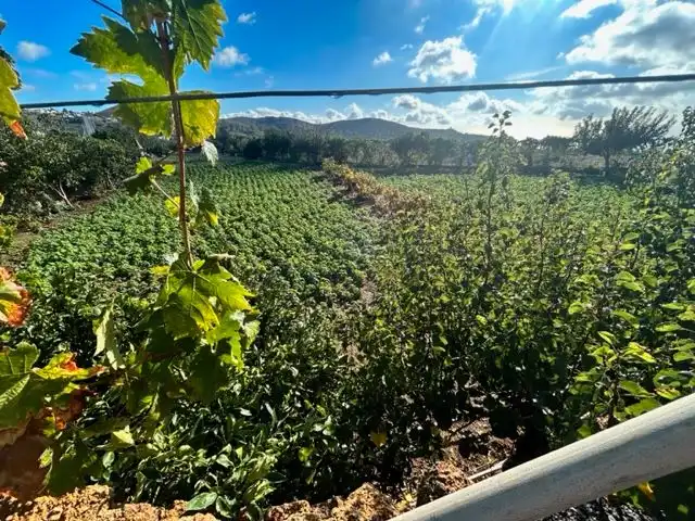 Exterior view of Land for sale in Granadilla de Abona