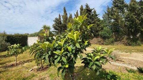 Foto 2 de Casa adosada en venta en Medina Sidonia, Cádiz