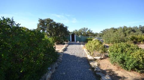 Foto 4 de Finca rústica en venta en Pago del Humo, 1, Pelagatos - Pago del Humo, Cádiz